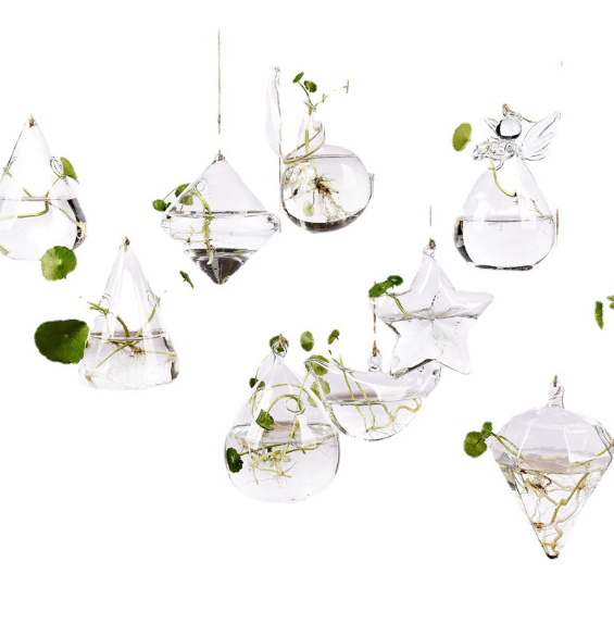 High borosilicate hydroponic vase