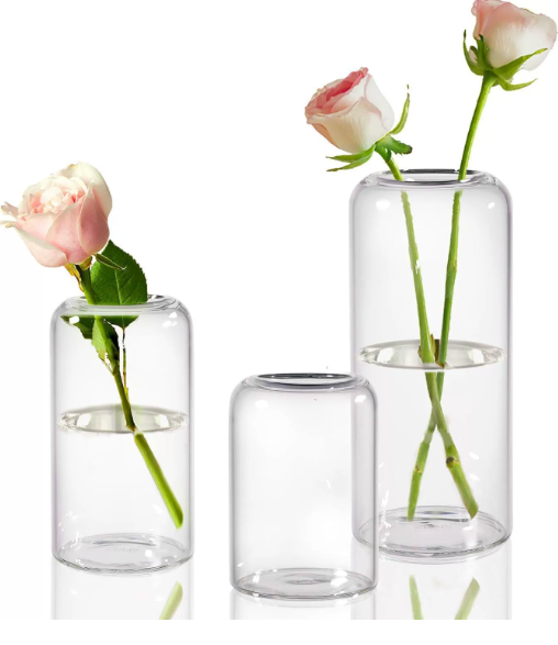 High borosilicate hydroponic vase