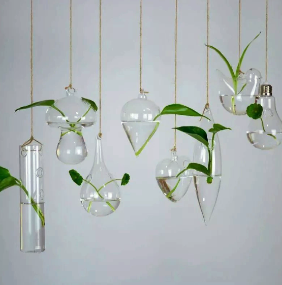 High borosilicate hydroponic vase